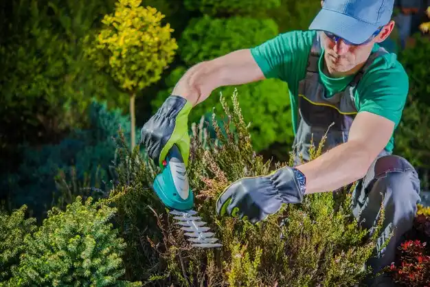 landscaping services Madison Heights